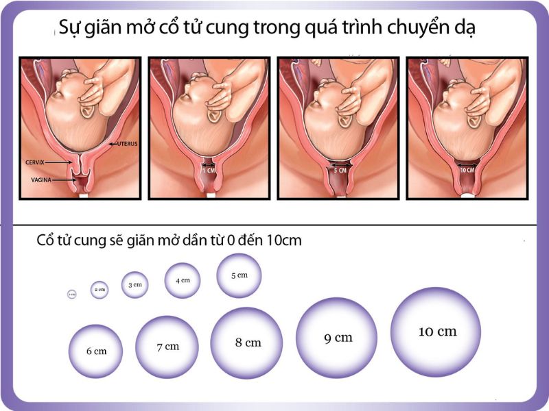 nhan-biet-nhung-dau-hieu-chuyen-da-4